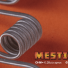 mestizo